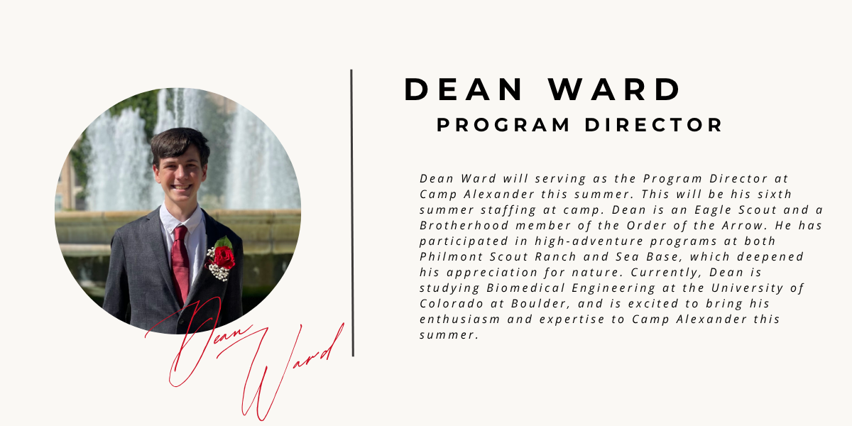 Program Diretor (1)